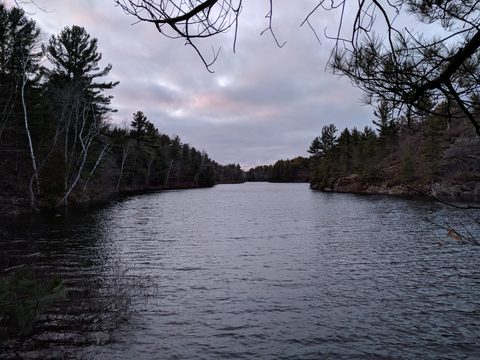 Photo from McCrae Lake Spring Cleanup