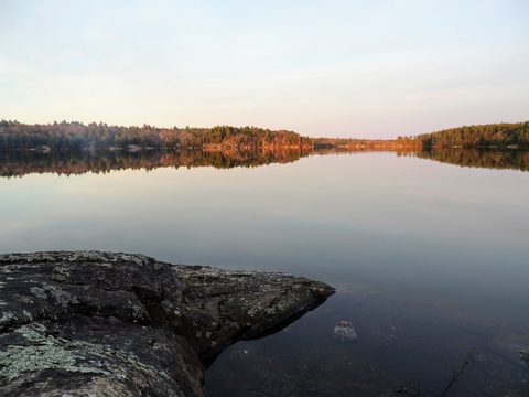 Photo from McCrae Lake Spring Cleanup