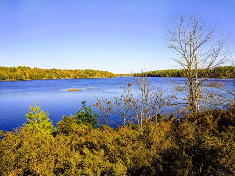Photo from McCrae Lake Spring Cleanup