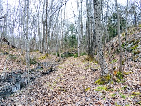 Photo from McCrae Lake Spring Cleanup