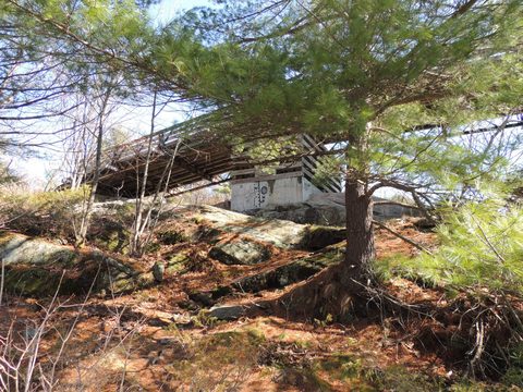 Photo from McCrae Lake Spring Cleanup