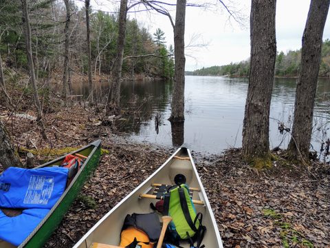 Photo from McCrae Lake Spring Cleanup