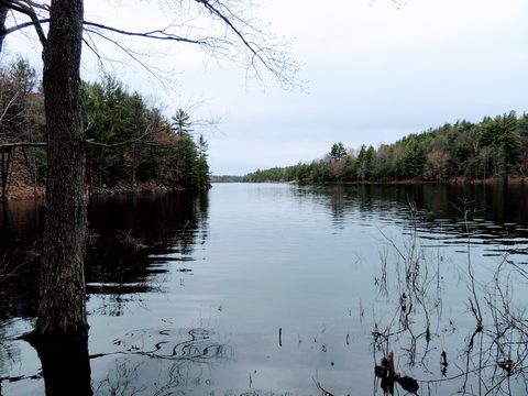 Photo from McCrae Lake Spring Cleanup
