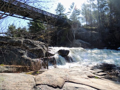 Photo from McCrae Lake Spring Cleanup
