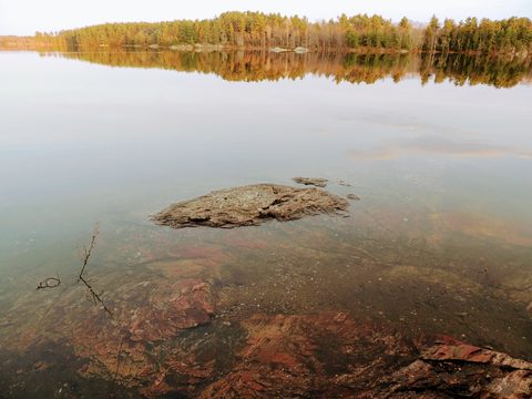 Photo from McCrae Lake Spring Cleanup