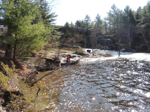 Photo from McCrae Lake Spring Cleanup
