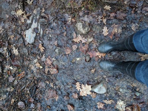 Photo from McCrae Lake Spring Cleanup
