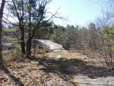 Photo from McCrae Lake Spring Cleanup