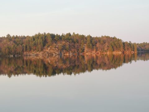 Photo from McCrae Lake Spring Cleanup