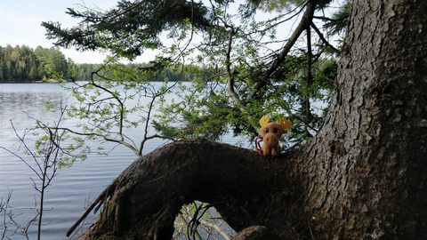 Photo from Introduction to backpacking - A first trip with Tim