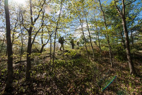 Photo from Backpacking West Side of QEW, Hikers Graveyard Section
