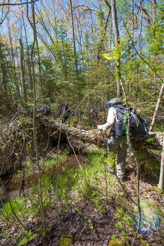 Photo from Backpacking West Side of QEW, Hikers Graveyard Section