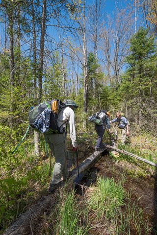 Photo from Backpacking West Side of QEW, Hikers Graveyard Section