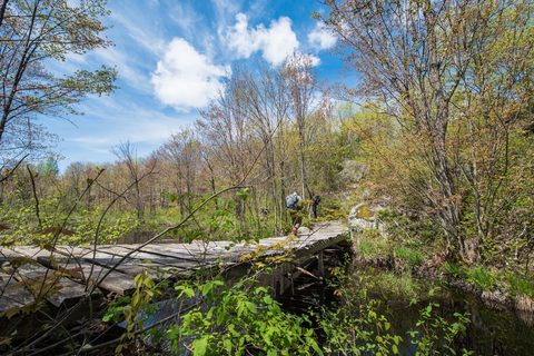 Photo from Backpacking West Side of QEW, Hikers Graveyard Section