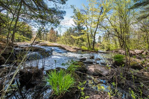 Photo from Backpacking West Side of QEW, Hikers Graveyard Section
