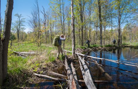 Photo from Backpacking West Side of QEW, Hikers Graveyard Section
