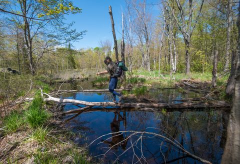 Photo from Backpacking West Side of QEW, Hikers Graveyard Section
