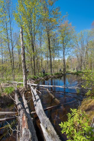 Photo from Backpacking West Side of QEW, Hikers Graveyard Section