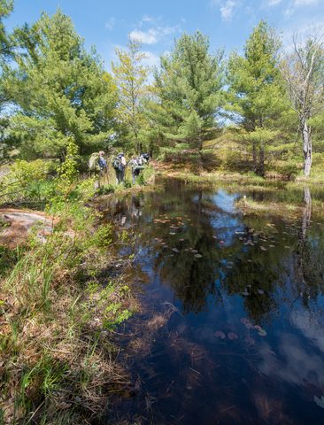 Photo from Backpacking West Side of QEW, Hikers Graveyard Section