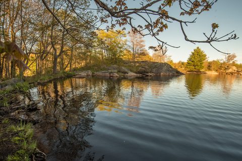 Photo from Backpacking West Side of QEW, Hikers Graveyard Section
