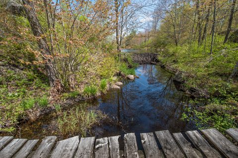 Photo from Backpacking West Side of QEW, Hikers Graveyard Section
