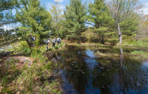 Photo from Backpacking West Side of QEW, Hikers Graveyard Section