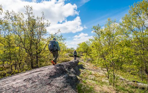 Photo from Backpacking West Side of QEW, Hikers Graveyard Section