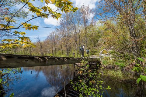 Photo from Backpacking West Side of QEW, Hikers Graveyard Section