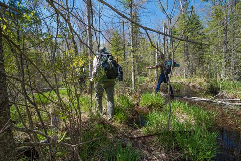Photo from Backpacking West Side of QEW, Hikers Graveyard Section