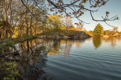 Photo from Backpacking West Side of QEW, Hikers Graveyard Section