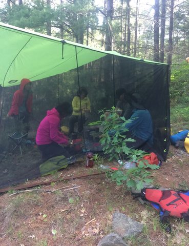 When QEW camping with Tim in the Spring, encourage him to bring his bug net.  Bribe him if you have to.