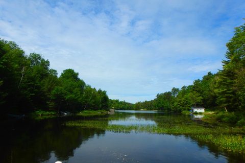 Photo from QEW, Canoeing to Jordan Lake