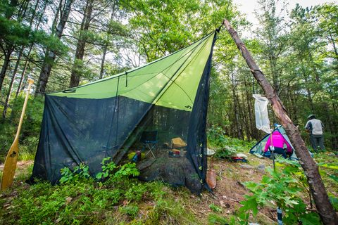 this awesome bug net saved us!