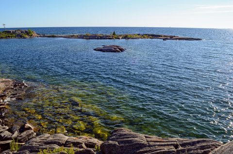 Photo from Kayaking Franklin, Minks