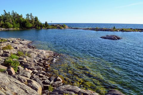 Photo from Kayaking Franklin, Minks