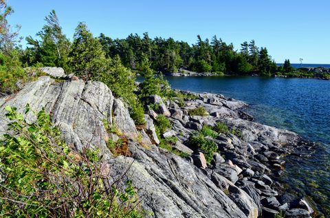 Photo from Kayaking Franklin, Minks
