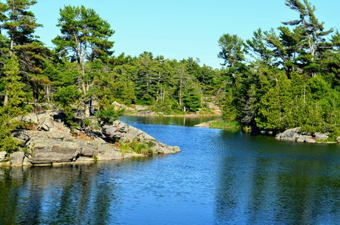 Photo from Kayaking Franklin, Minks