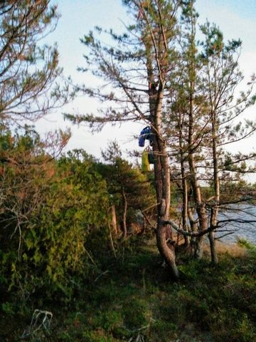 Photo from Kayaking Franklin, Minks