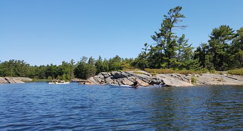 Photo from Kayaking Franklin, Minks