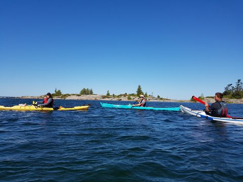 Photo from Kayaking Franklin, Minks