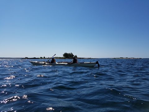 Photo from Kayaking Franklin, Minks