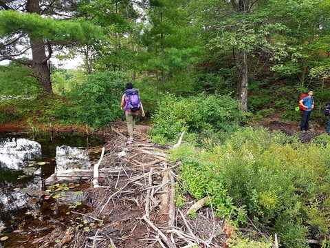 Photo from Backpacking East Side of QEW, Devils Lake to Victoria Section