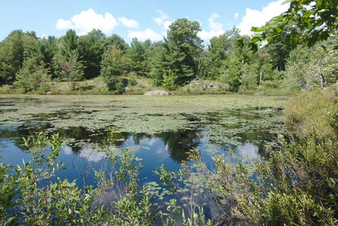 Photo from Backpacking East Side of QEW, Devils Lake to Victoria Section