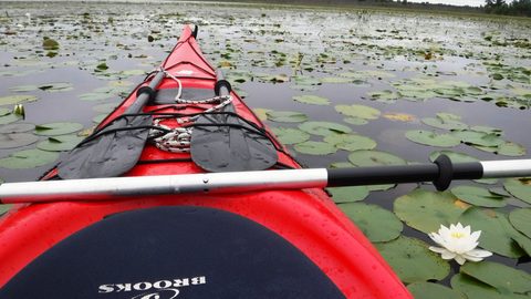 Photo from Kayaking To The Painted Rocks