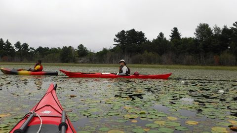Photo from Kayaking To The Painted Rocks