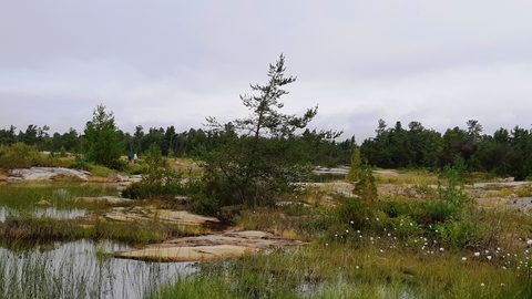 Photo from Kayaking To The Painted Rocks