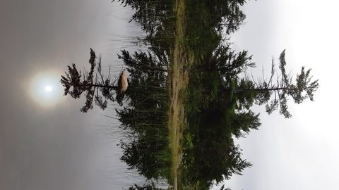 Photo from Kayaking To The Painted Rocks