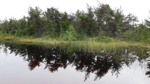 Photo from Kayaking To The Painted Rocks