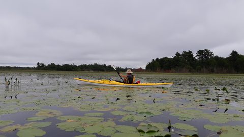 Photo from Kayaking To The Painted Rocks