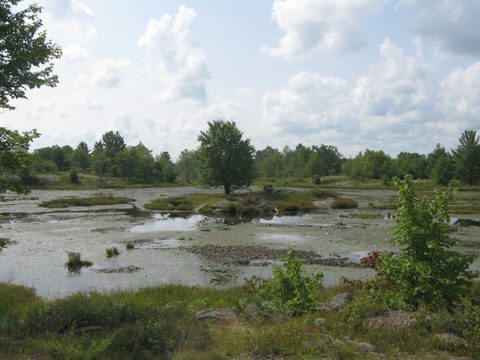 Photo from Backpacking West Side of QEW, Victoria Bridge to Loon Lake